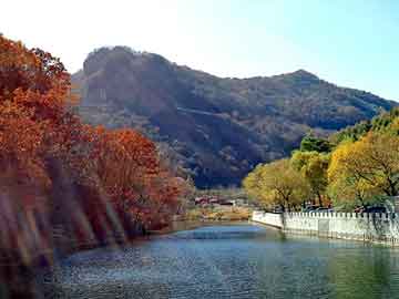 管家婆黑白马报图库，黄泉逆旅